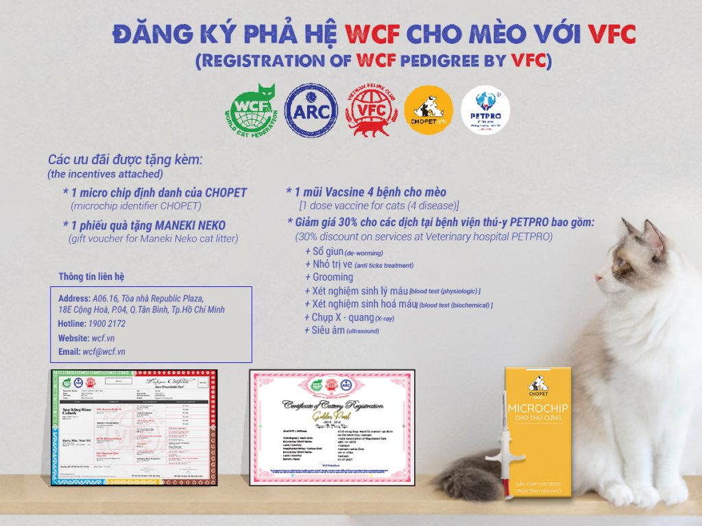 Đăng ký phả hệ WCF cho mèo với VFC