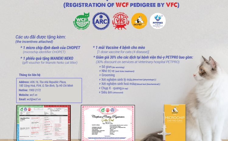  Đăng ký phả hệ WCF cho mèo với VFC