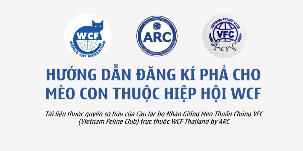 Quy trình đăng ký phả cho mèo bởi VFC