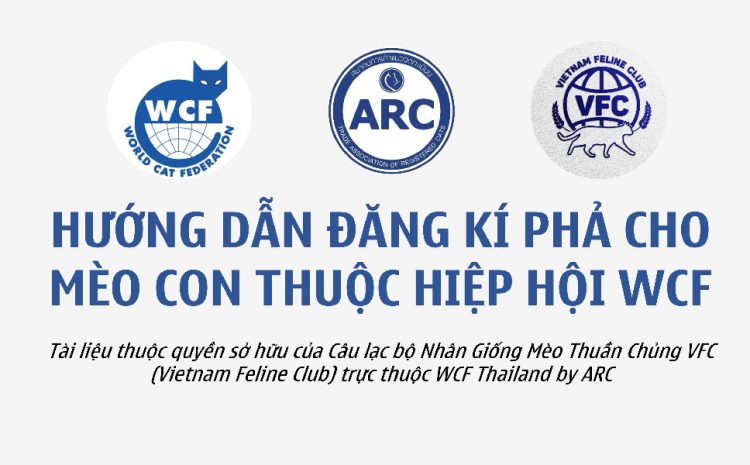  Quy trình đăng ký phả cho mèo bởi VFC